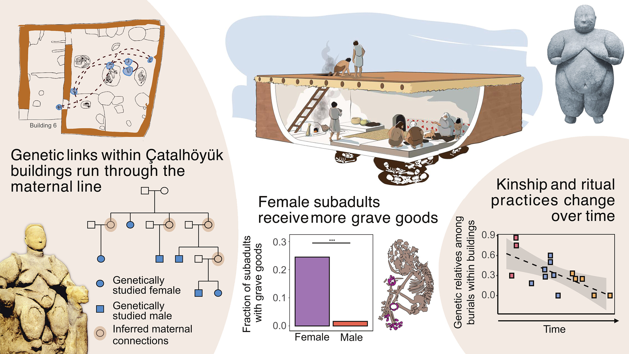 Çatalhöyük Çalışması